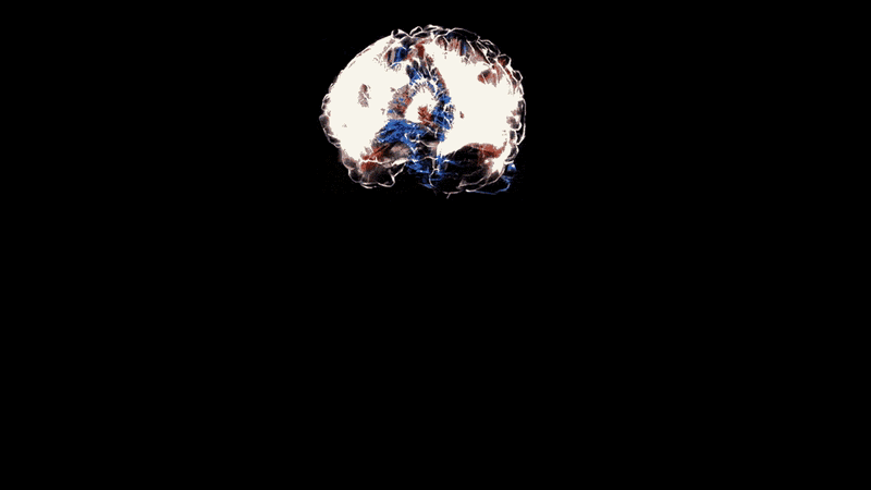 Brain Dump
