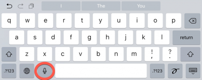 iphone dictation button