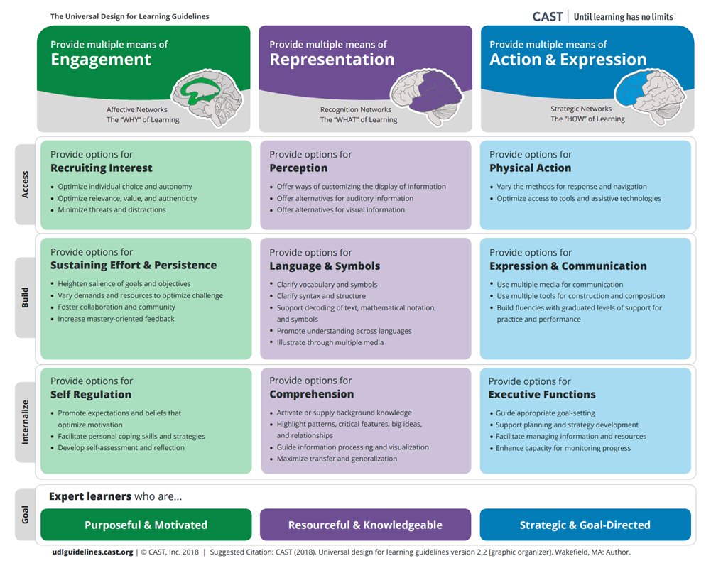 udl universal design for learning framework guidelines (1)